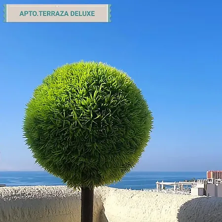 Apartamento Benal